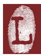 Larkins Investigations